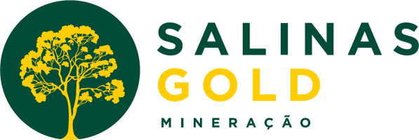 Universidade Corporativa - Salinas Gold Mineração